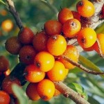 bd4ff21fcd24b261589a1151614c152b_content_large