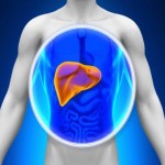 jetra-ruski-recept-ciscenja