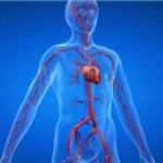 97d1d3d17841d6d3353ed857f6573ac4_L