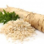 horseradish