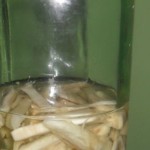 selen-u-rakiji-46ada9923e42b50ce312f9d322a61d51_header