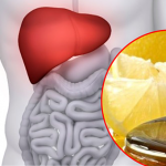 zdrava-jetra