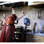 Повар-таракан-2_resize-300x225