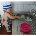 1441357_10152062366169025_803941258_n-300x225