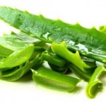 30185_1861aloe_iff-590x356