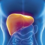 Jetra-e1409573547692-600x362