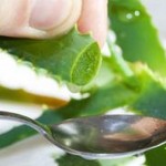 amazing-aloe-vera0-1