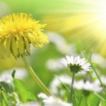 c7d393cecb09ed5b3f270bac45b4e8d6