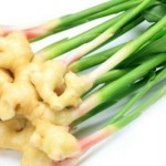 djumbir-u-saksiji-590x393