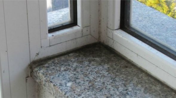 eliminacija_plijesni_slika2-590x331