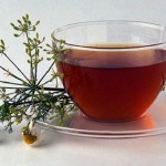 caj_kamilica-620x379