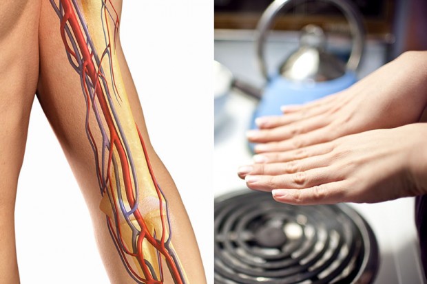 profimedia-0152997046