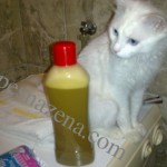 watermarked-12112013882_resize