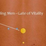 gateogvitality-702x336