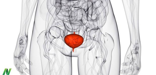 can-cranberry-juice-treat-bladder-infections