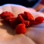 PHOTO:flickr/Antonio Tajuelo