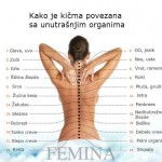leđa-femina