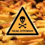 Pomfrit-otrovno-620x350