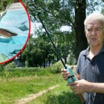 Zmijolovac-Mirko-Mijanovic-2-620x350