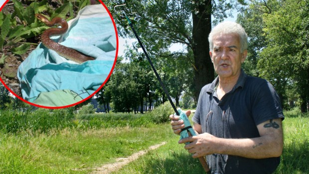 Zmijolovac-Mirko-Mijanovic-2-620x350