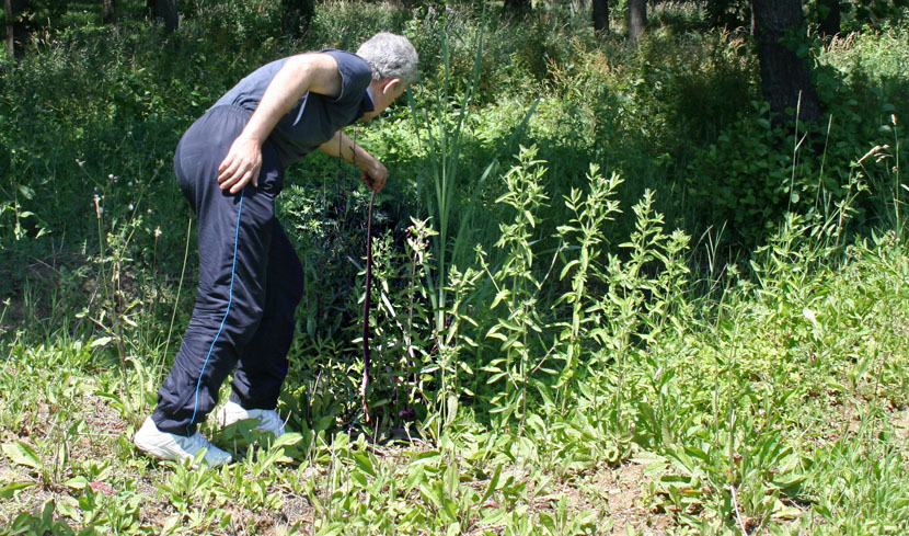 Zmijolovac-Mirko-Mijanovic-6