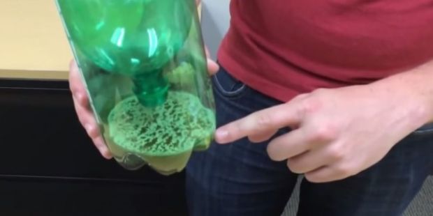 zamka-za-komarce-foto