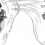 aura-field-2-600x2501