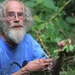 jiaogulan-foto-youtube-ps-1437424046-704677