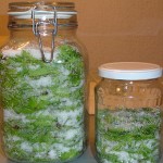 sirup-od-mladih-borovih-iglica