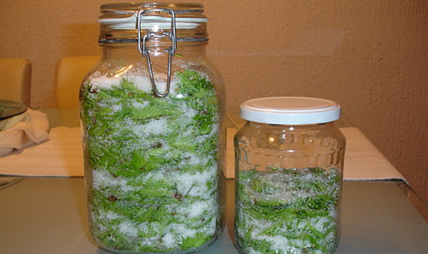 sirup-od-mladih-borovih-iglica