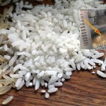 lazna-plasticna-riza