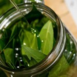 lovorovo-ulje-600x400