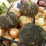 repa-napitak-karcinom