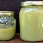 tinktura-napitak-tibet-bijeli-luk-1