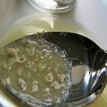 čišćenje-organizma