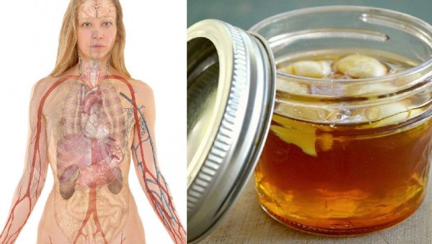 Beli-luk-i-med-620x350