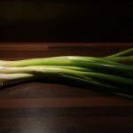 mladi-luk-pixabay