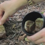 kesice-od-caja-naslovna-620x324