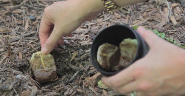 kesice-od-caja-naslovna-620x324