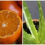 narandza-aloa-pixabay
