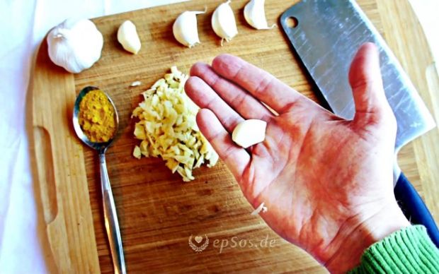 prirodni-antibiotici