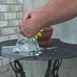 trik-za-muhe-620x413