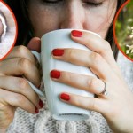 Caj-biljka-Maca-beba