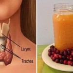 smanjena-funkcija-stitnjace-prirodan-lijek