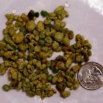 efektivan-nacin-da-unistite-sve-zucne-kamence