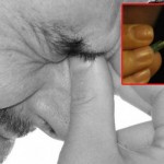 Foto: flickr/19melissa68/Aleksandr Zykov