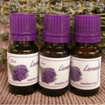 ulje-lavande