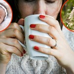 Caj-biljka-Maca-beba