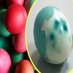 boja-jaja