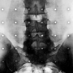 Steve Snodgrass/Flickr